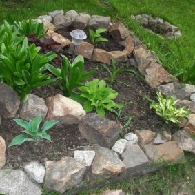 parterres de fleurs avec des idées de décoration de bricolage