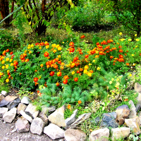 parterres de fleurs avec des pierres idées de bricolage photo