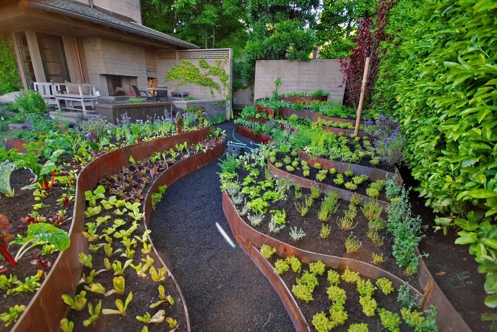 Beautiful beds in the garden of a suburban area