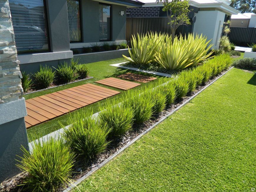 Border plants in a small garden area