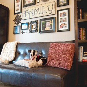 Chien sur le canapé dans le salon