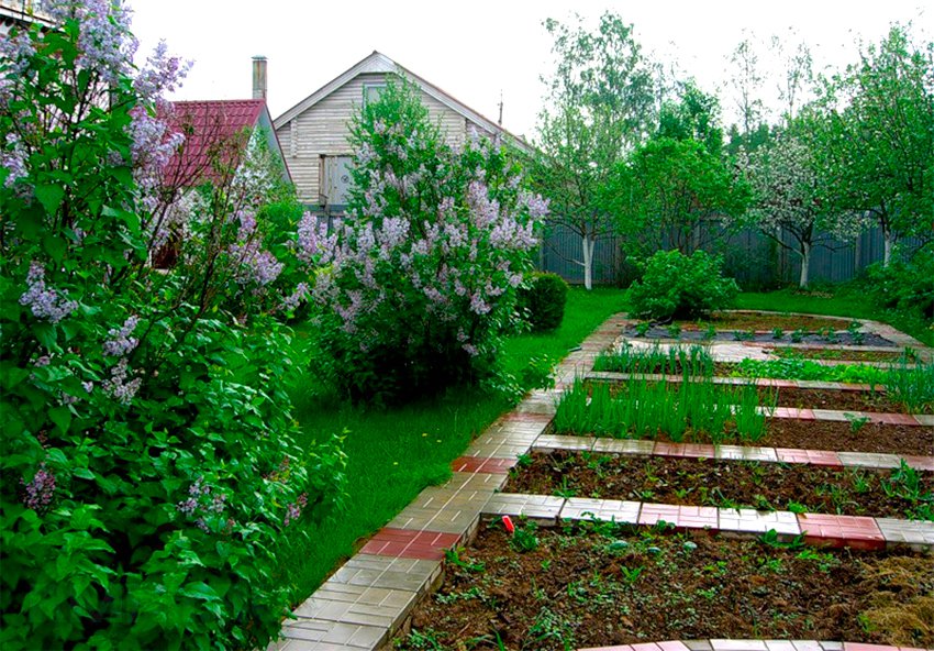 Garden beds in the garden plot of 6 acres