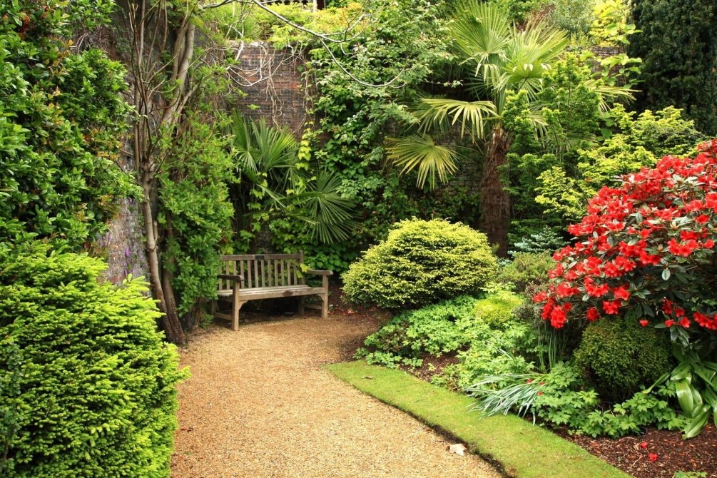 Wooden bench under the garden trees in a landscape style