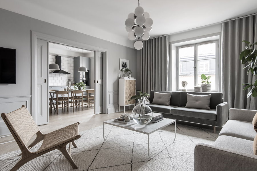 Design d'appartement salon en gris