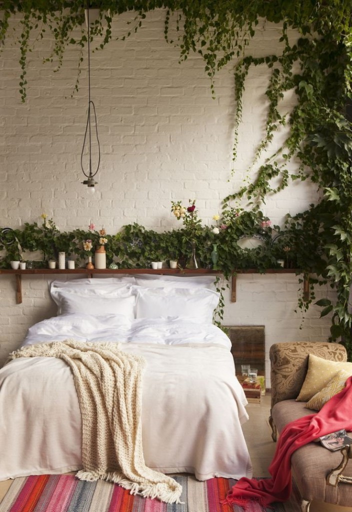 Plantes vertes dans une chambre de style boho