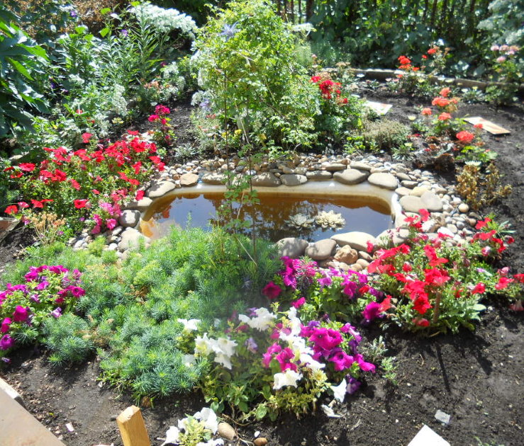 Étang fait maison d'un ancien bain dans le jardin d'une maison privée