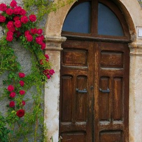 portes d'entrée en bois