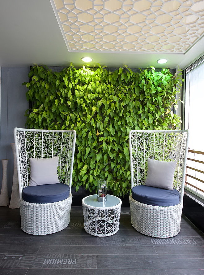 Jardin vertical sur le mur dans le salon