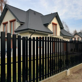 Euro fence photo decor