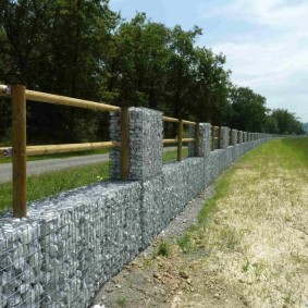 gabion clôture photo espèces