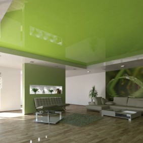 plafond suspendu vert dans le hall