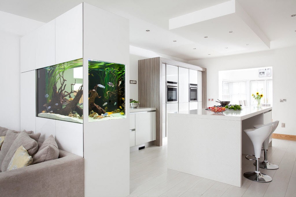 Cloison d'aquarium dans une salle blanche