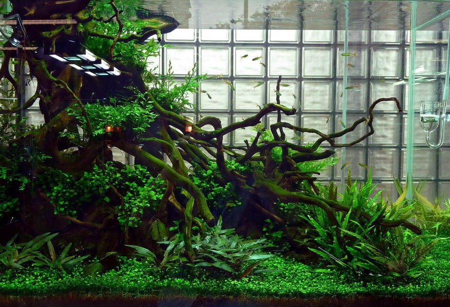 Décor aquarium en bois flotté dans un style naturel