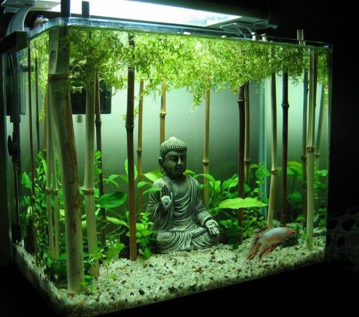 Arredamento di un piccolo acquario con statuetta orientale