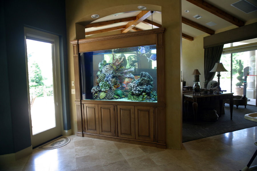 Grand aquarium dans une cloison en bois