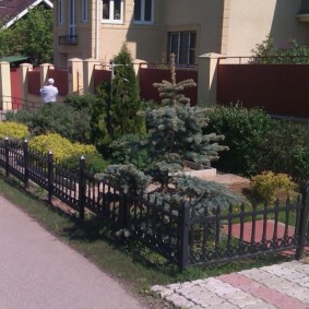 decorative fence for the garden photo species