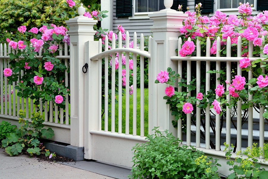 decorative fence ideas photo