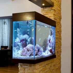 Decorazione murale canoa con acquario