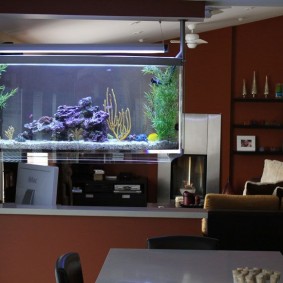 Organisation de l'éclairage dans l'aquarium du bar