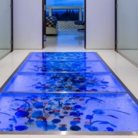 Aquarium extérieur avec poissons vivants