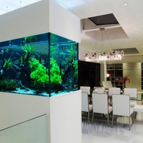 Decorazione dell'acquario della cucina-soggiorno