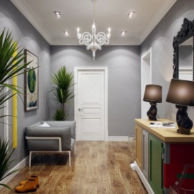 Dracaena à l'intérieur d'un couloir spacieux