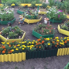 Soucis en fleurs sur un parterre de fleurs d'un site de pays