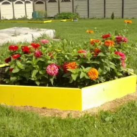 Parterre de fleurs jaunes avec de belles fleurs