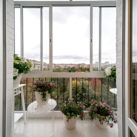 Pétunias en fleurs dans des pots sur le balcon