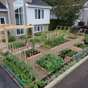 Neat beds in the garden of a summer cottage