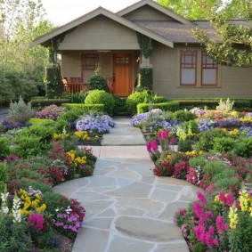 Stone path between blooming flower beds