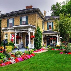 Red flowers in the landscape of a summer cottage