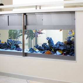 Capiente acquario in una partizione bassa