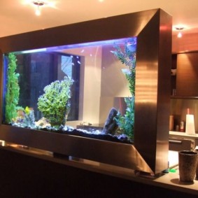 Aquarium transparent sur le bar