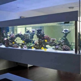 Acquario sospeso in stile giapponese