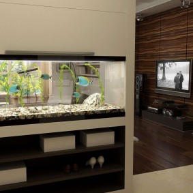 Cloison avec un aquarium décoratif à l'intérieur