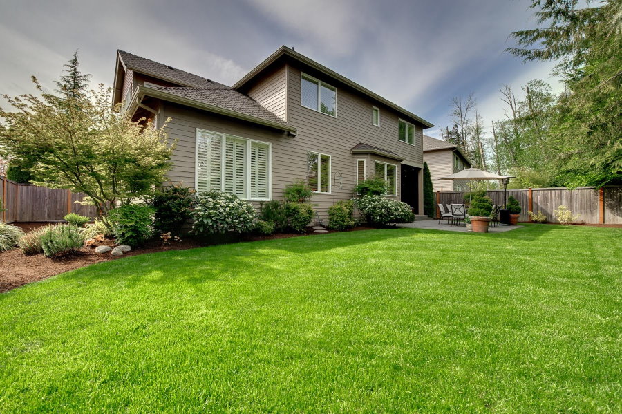 Lawn in front of the house on a suburban area