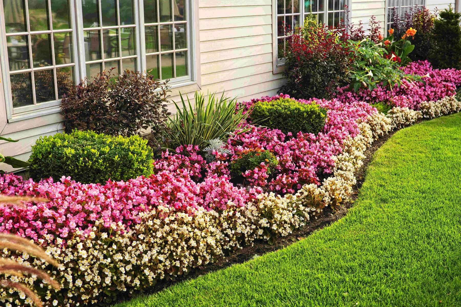 flower beds on the site