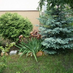 landscaping photo decor