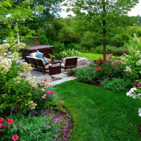 landscape gardening photo