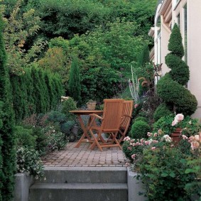 landscaping ideas