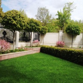 garden landscaping design options