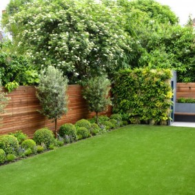 landscape gardening photo