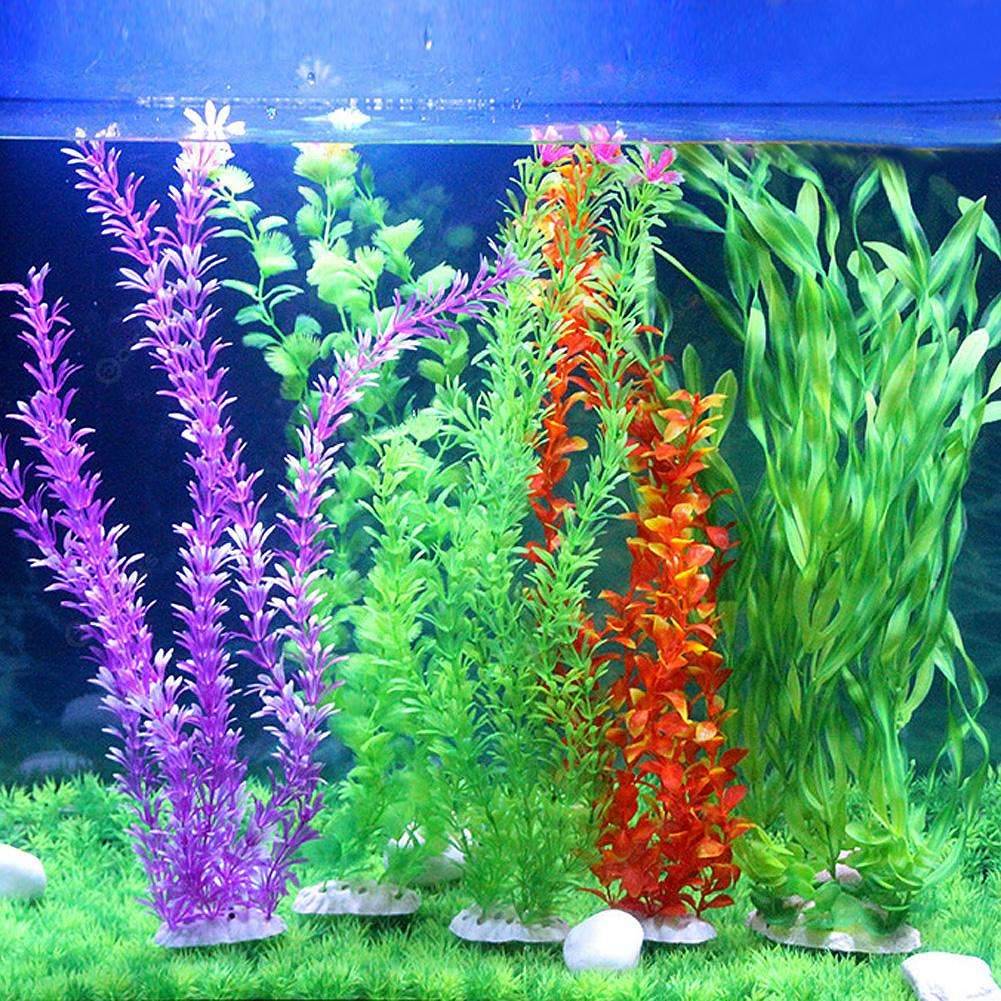 Plantes décoratives en plastique dans un aquarium domestique