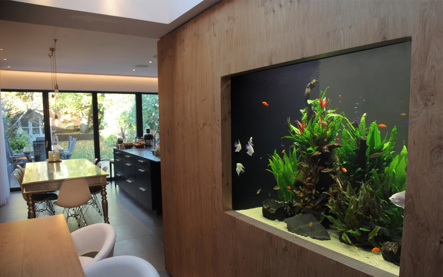 Bois de séparation avec aquarium dans un style naturel